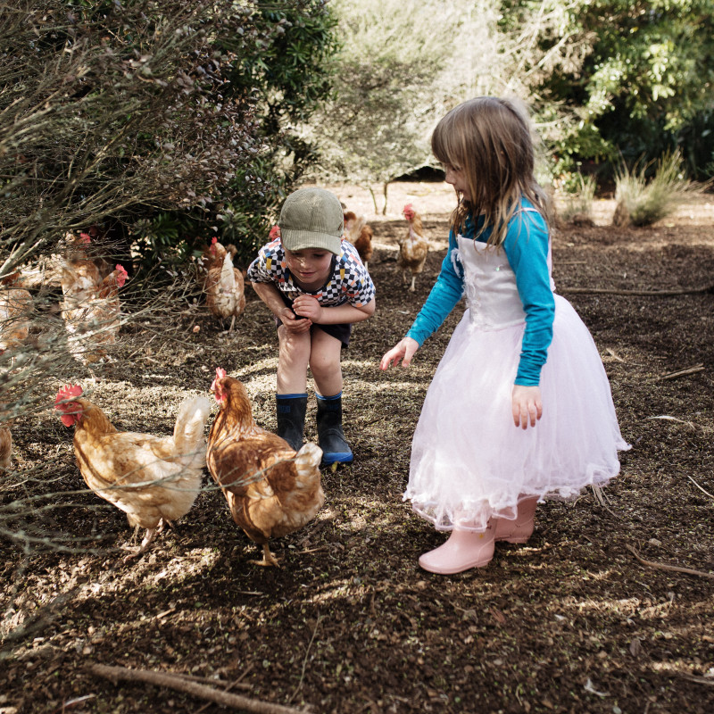 Outdoor Fun at Busy Bees Cambridge