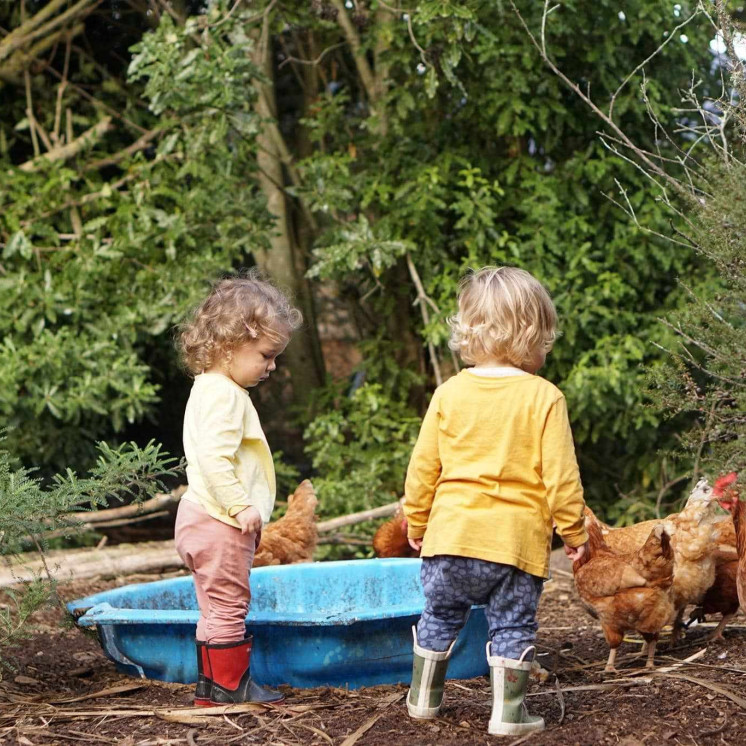 Kids playing with the chickens at Busy Bees Cambridge