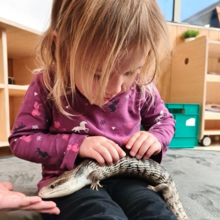 Child engagement with animals at Busy Bees Cambridge Early childhood care centre