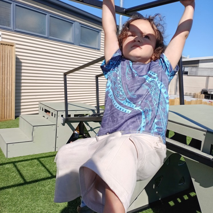 Busy Bees Grandview Road Outdoor monkey bars for physical development 1