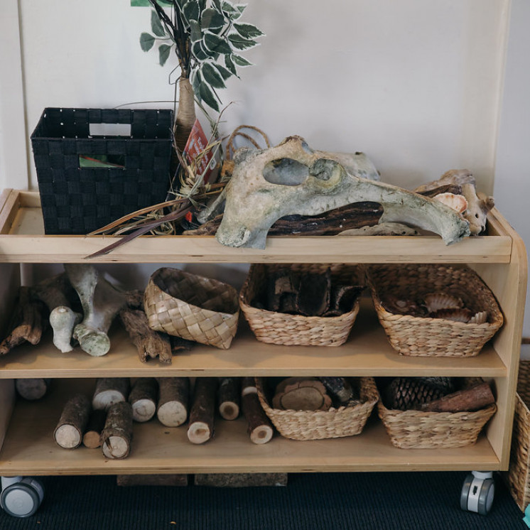 Natural resources at Busy Bees Katikati