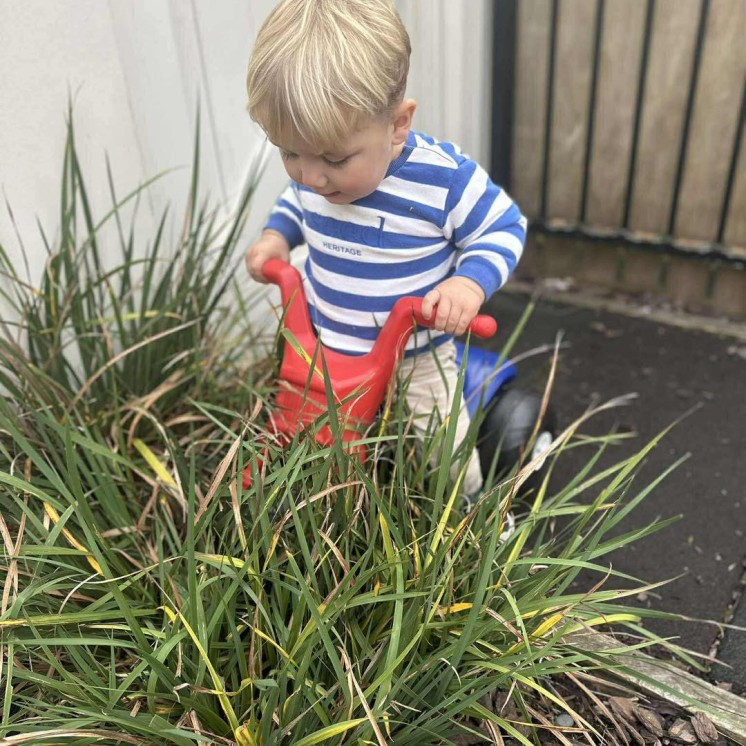 Busy Bees Kawatiri Boy outside playing in bushes
