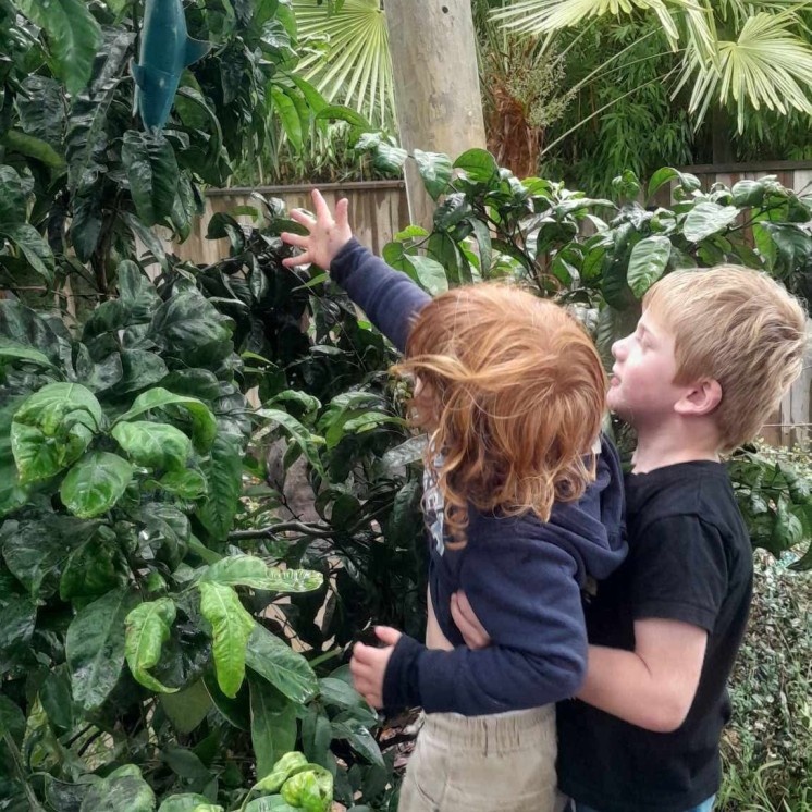 Busy Bees Mapua teamwork tuakana teina