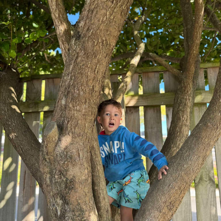 Busy Bees Pahiatua tree climbing at kindy