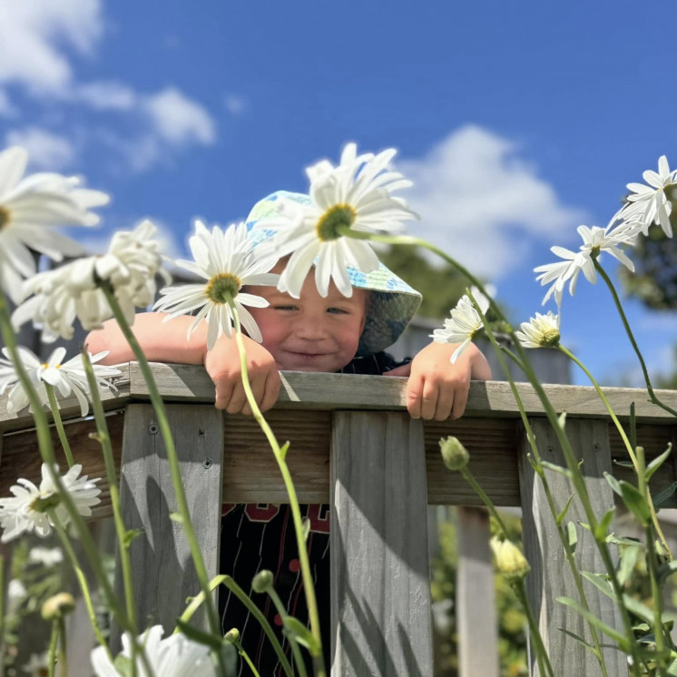 Busy Bees Pahiatua nature based learning