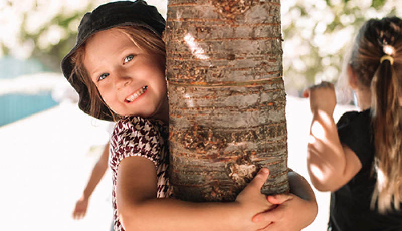 Girl hugging tree at Busy Bees Putaruru