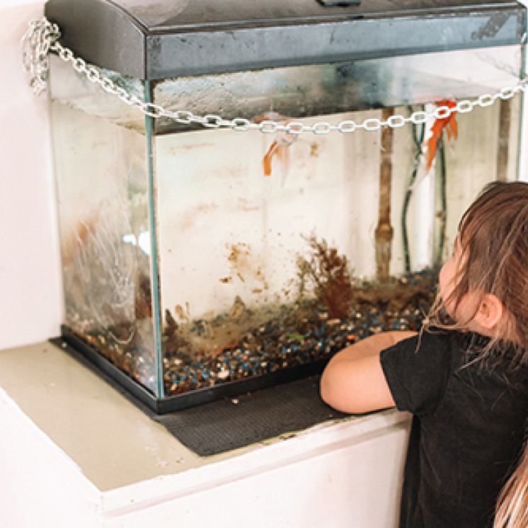 Learn and Play at Busy Bees Putaruru