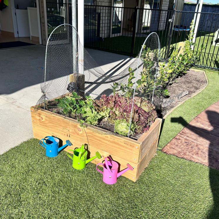 Busy Bees Tahunanui garden to table learning about kai