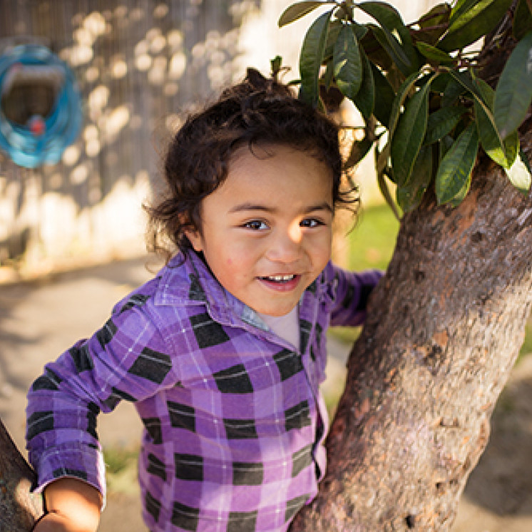 Climbing trees playing hide n seek at Busy Bees Western Heights