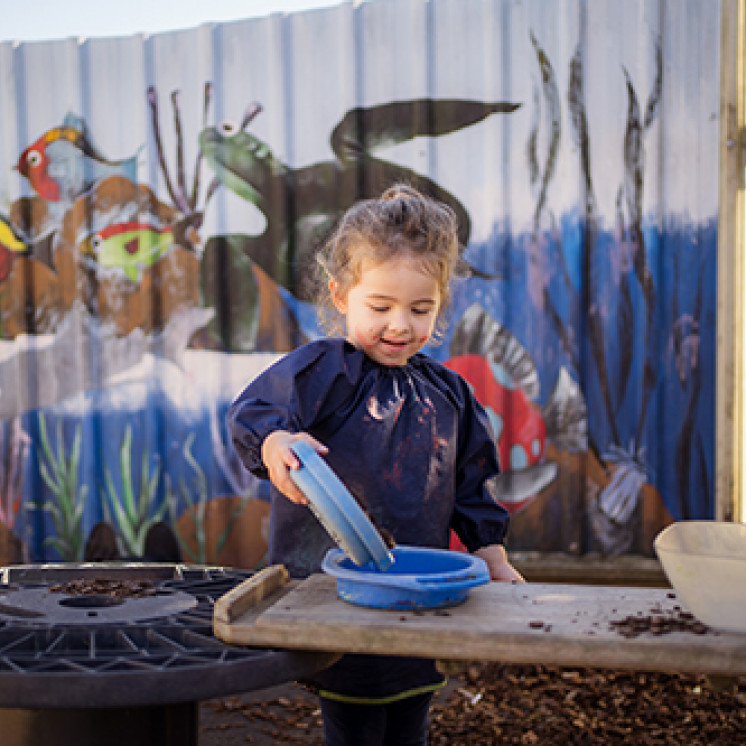 Outdoor Play at Busy Bees Whakatau Street