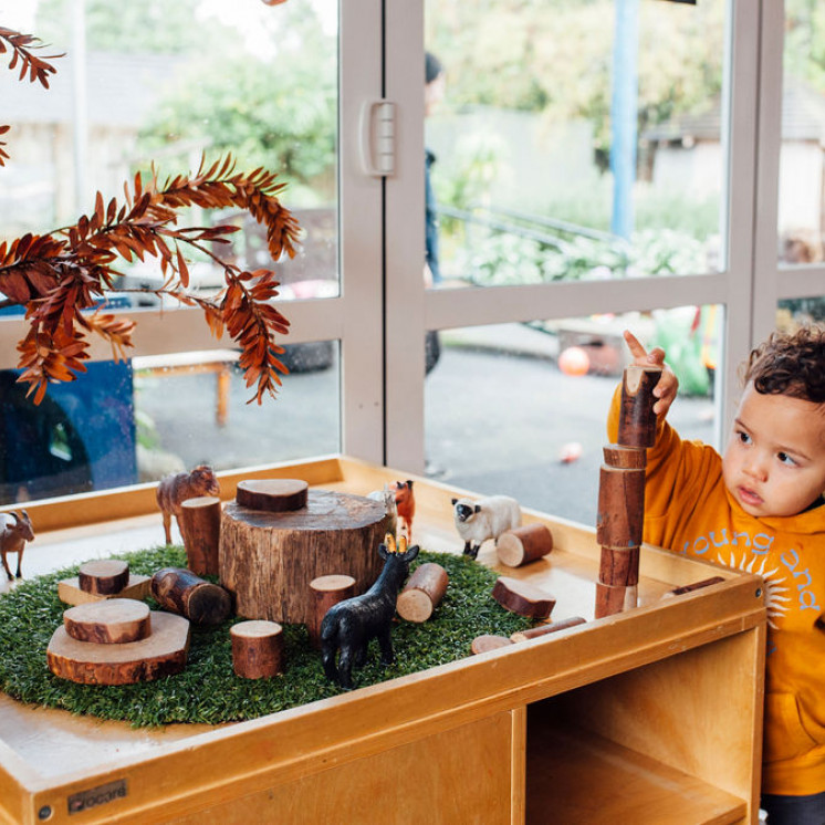 Natural Resources for learning in toddlers space at Busy Bees Whau Valley 