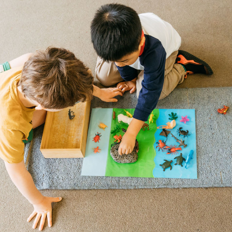 Montessori Resources at Harewood Road Montessori by Busy Busy Bees Papanui